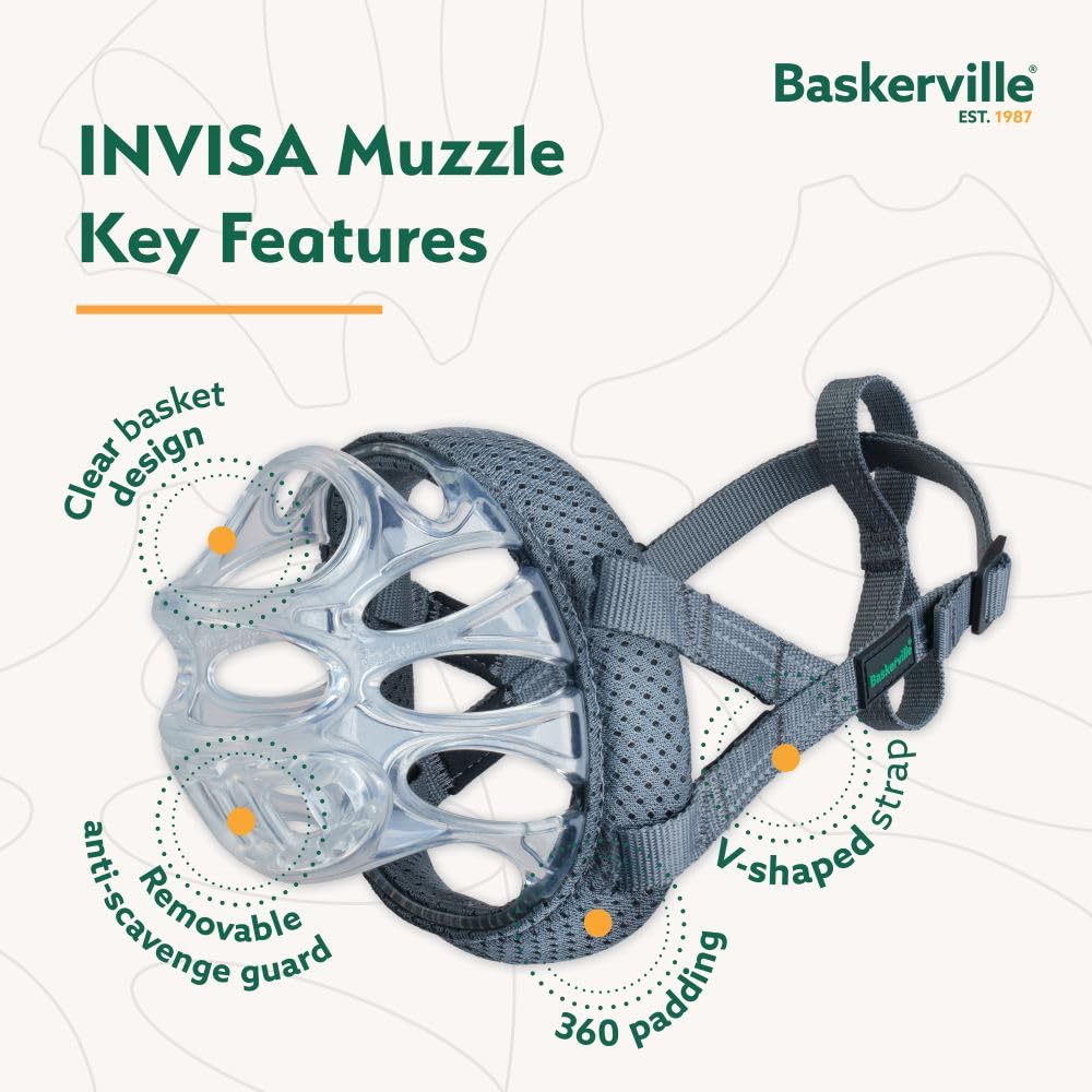Baskerville INVISA transparent basket helps owners read dog expressions during walks