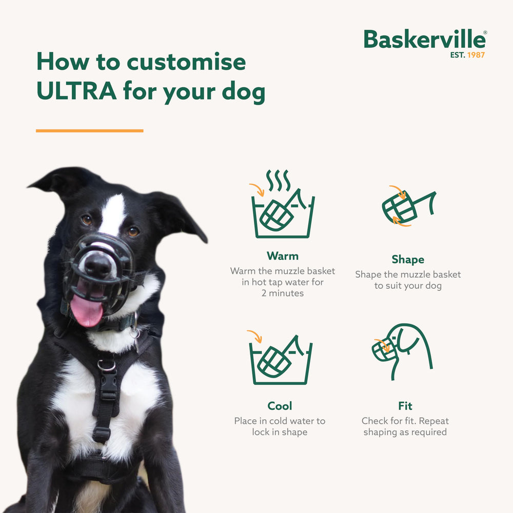 Baskerville Ultra Muzzle lockable neck strap adds extra secure fit.
