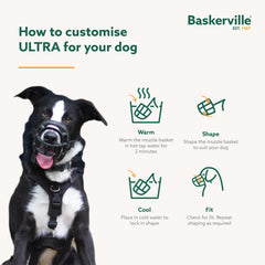 Baskerville Ultra Muzzle lockable neck strap adds extra secure fit.