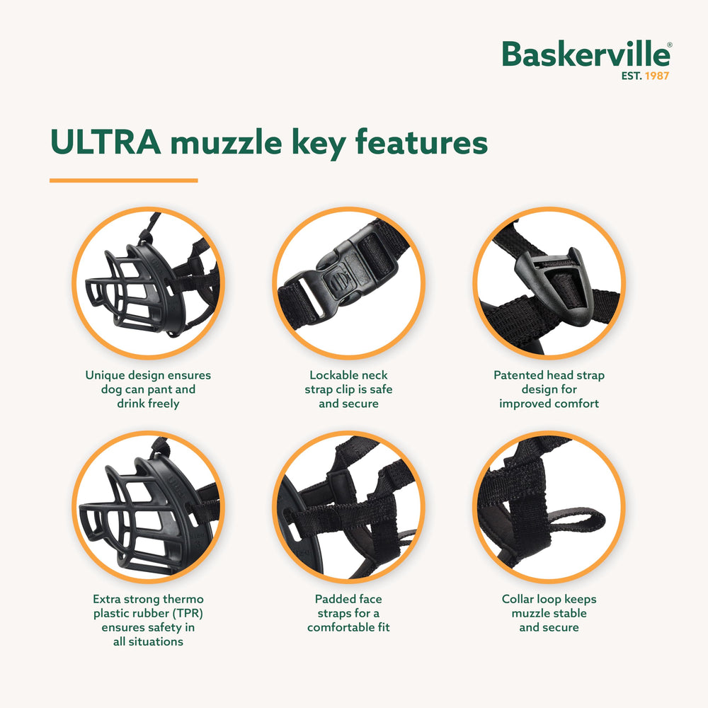 Baskerville Ultra Muzzle pant and drink capability enables dogs to stay hydrated.