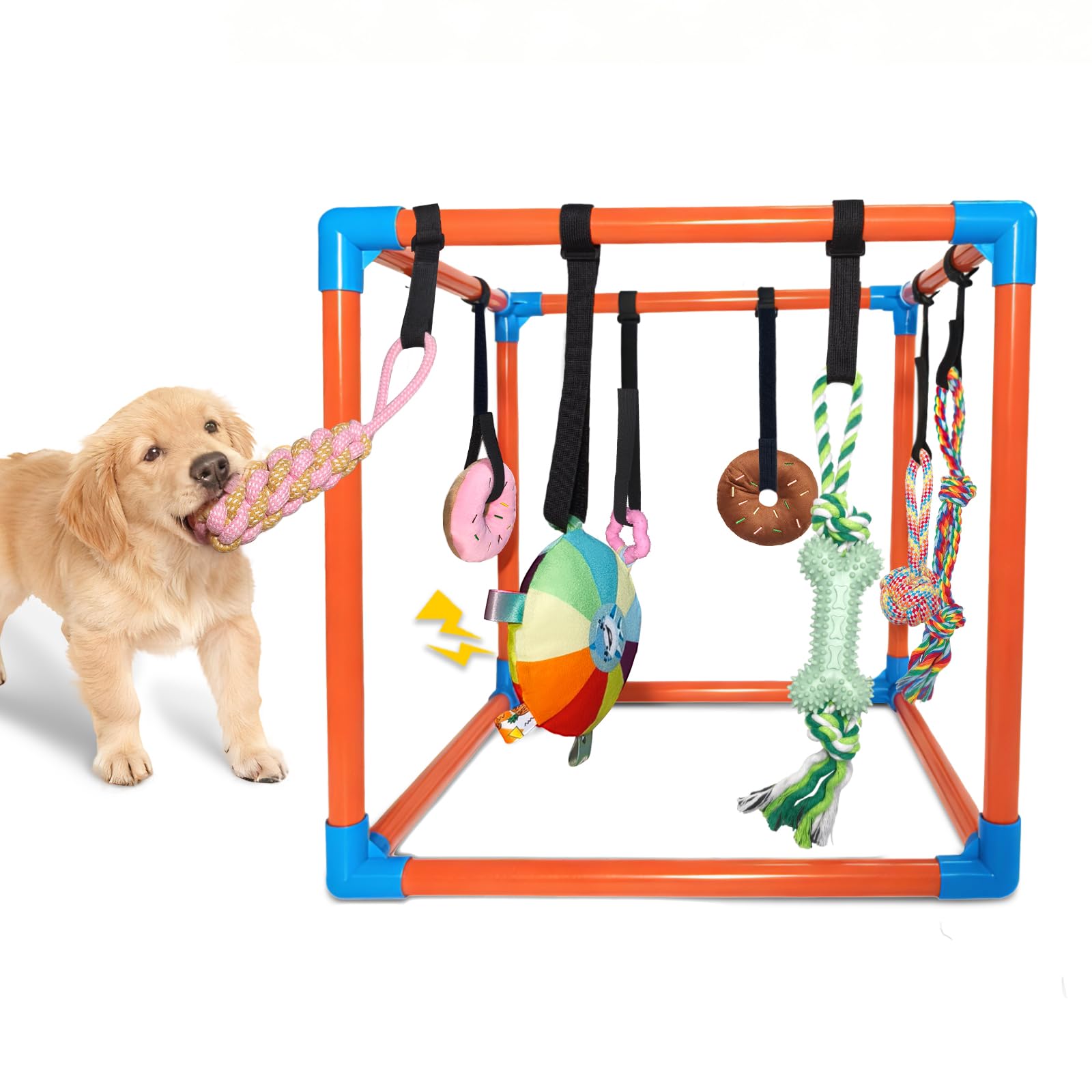 BASTIPETA Puppy Play Gym assembled for safe indoor enrichment and active play.