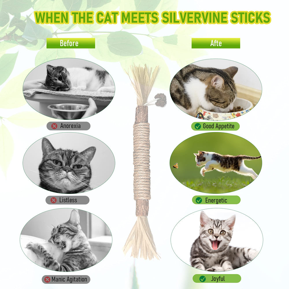 BAWAN aggressive-chewer-silvervine-sticks satisfies chewing instincts safely.