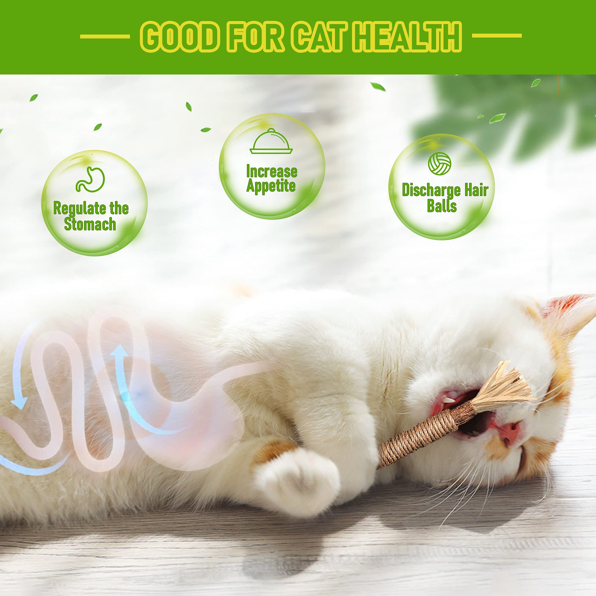 BAWAN GBSYU cat teeth-cleaning action shot for dental-friendly kitten play
