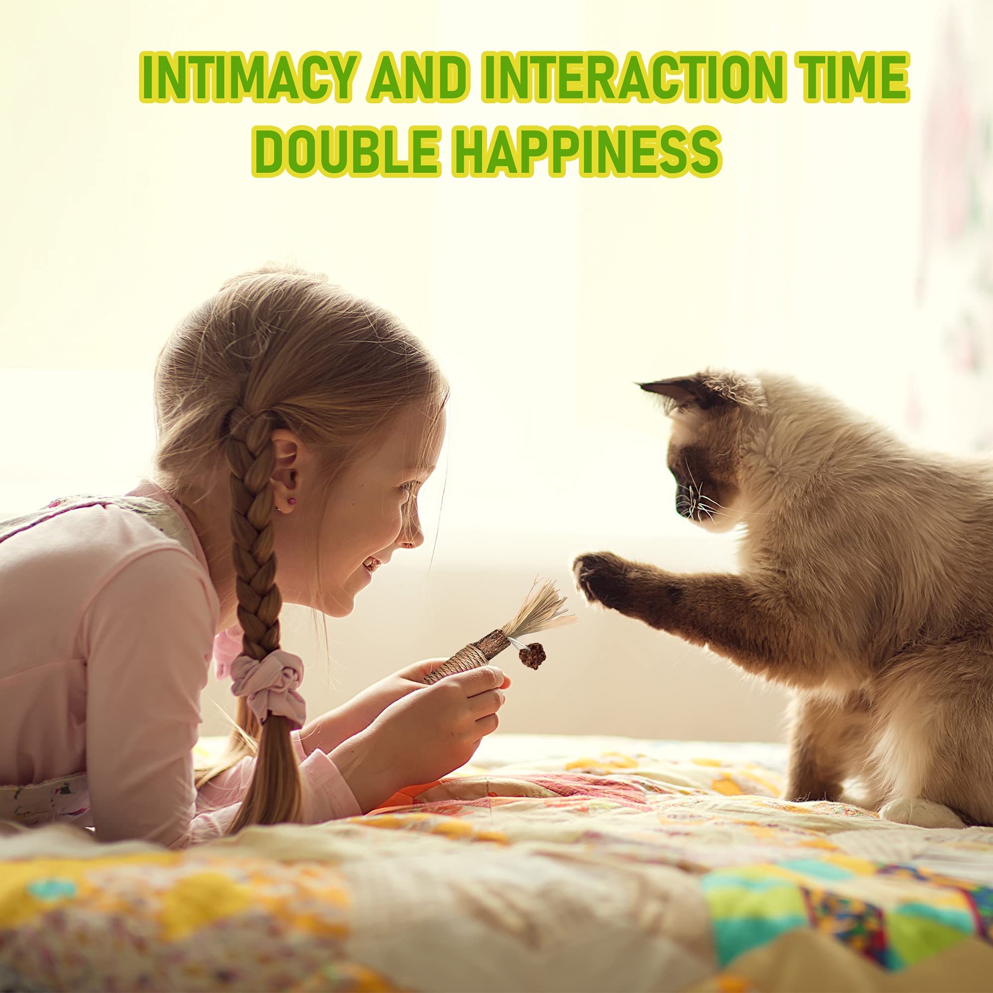 BAWAN GBSYU relaxing cats image suggesting stress relief during play sessions