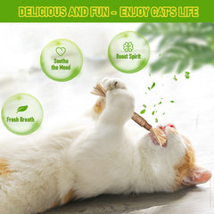 BAWAN GBSYU silvervine sticks pack image highlighting indoor chewing for stress relief