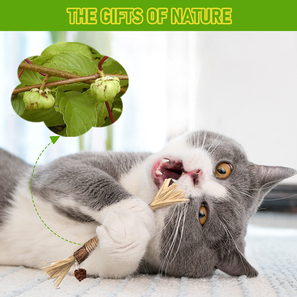 BAWAN kitten-teething-chew-toys-silvervine offers safe teething relief for kittens.