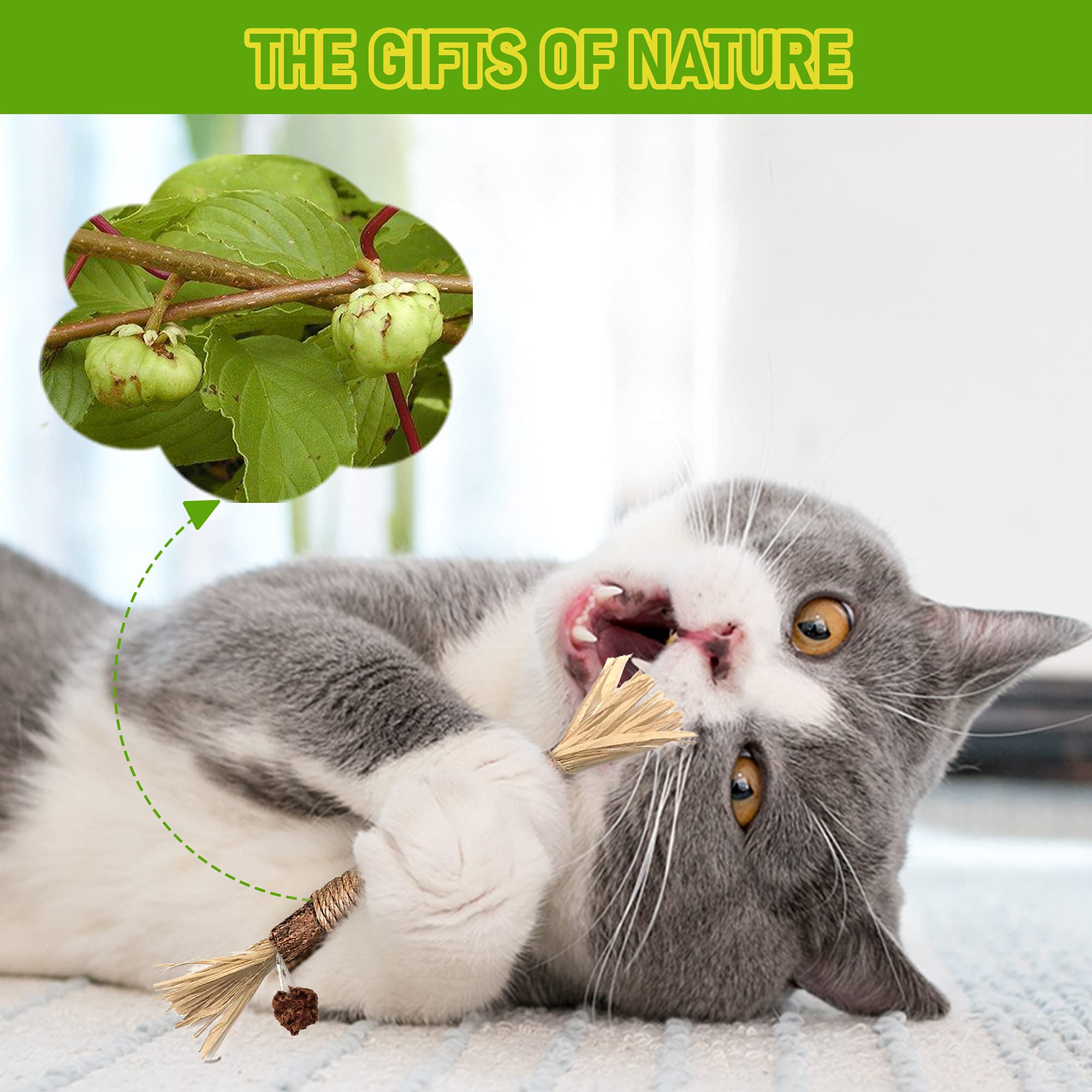 BAWAN natural cat toy highlighting fiber and digestive well being