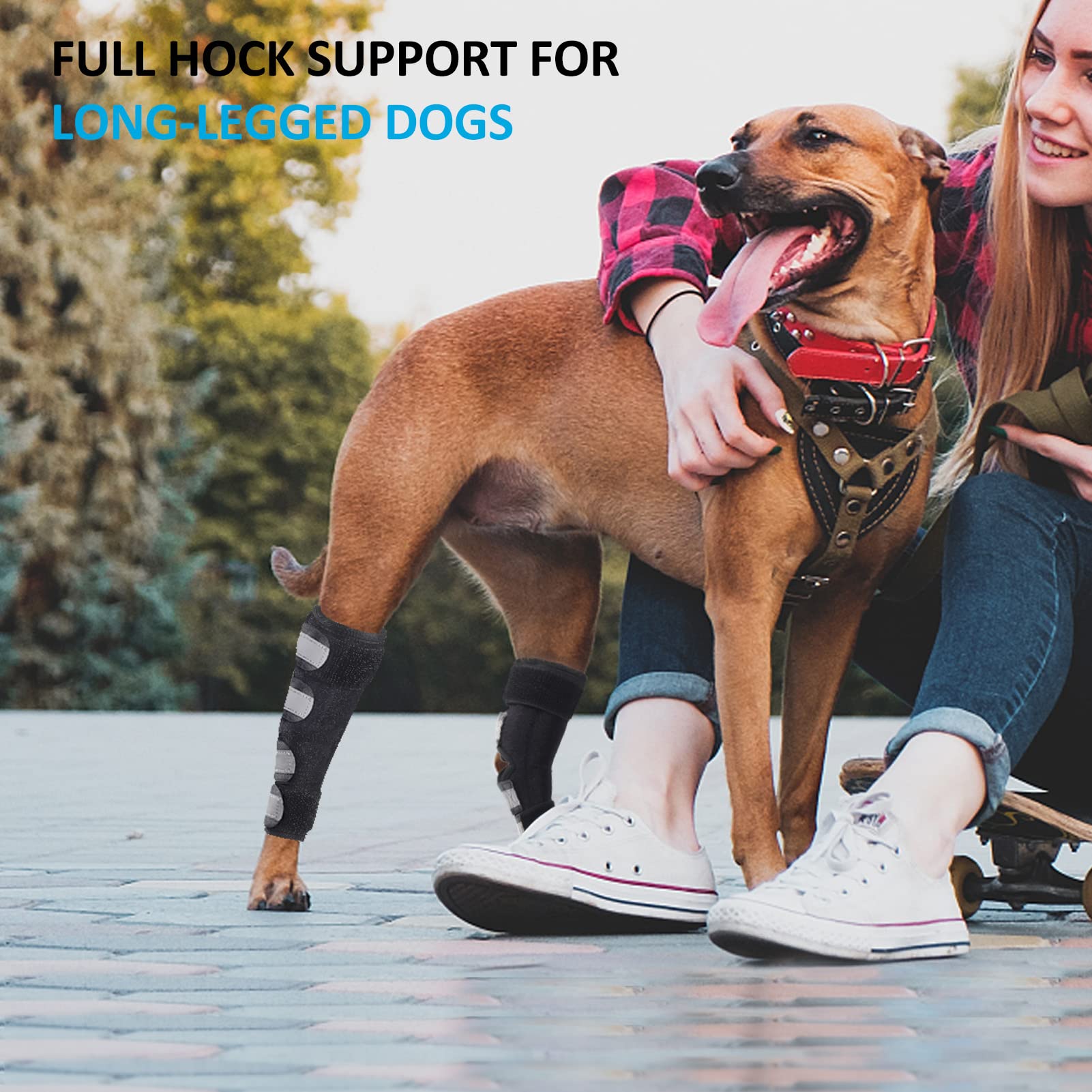 Bawektrl dog hock brace back view demonstrates full-coverage hind leg support