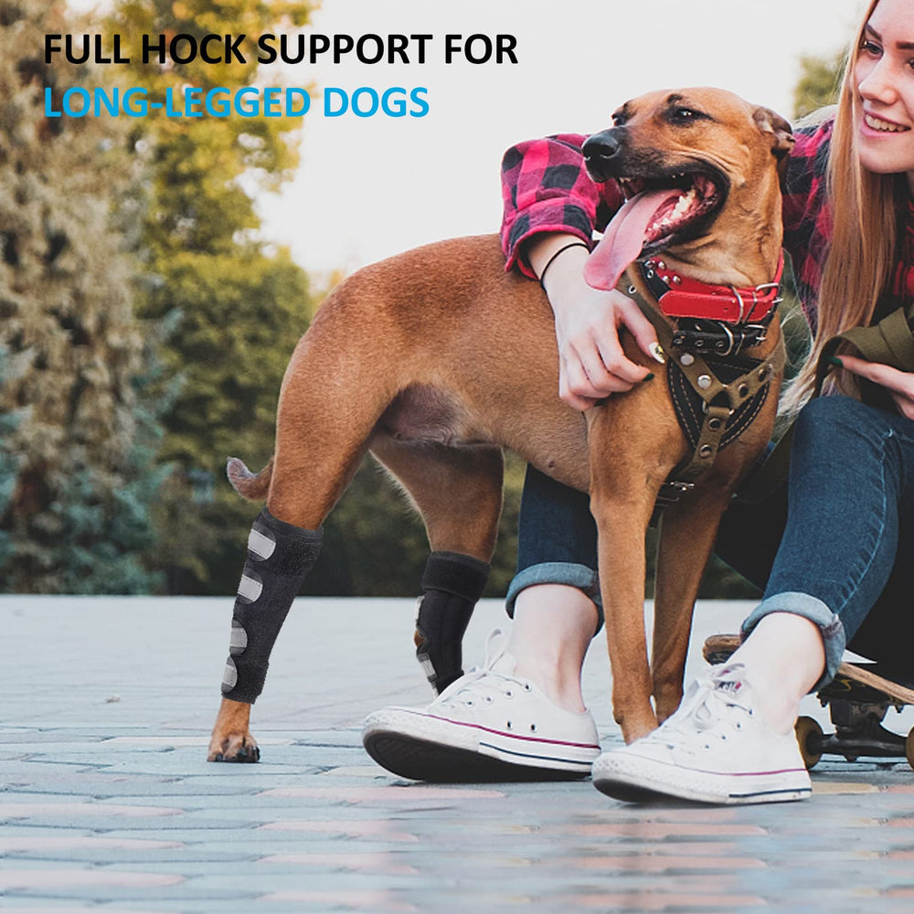 Bawektrl dog hock brace back view demonstrates full-coverage hind leg support