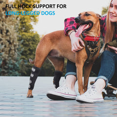 Bawektrl dog hock brace back view demonstrates full-coverage hind leg support