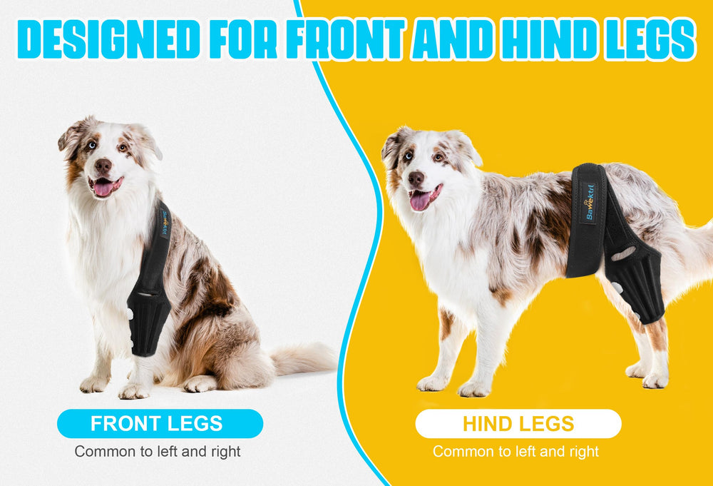 Bawektrl Dog Knee Brace on-dog with Velcro closure for easy on off