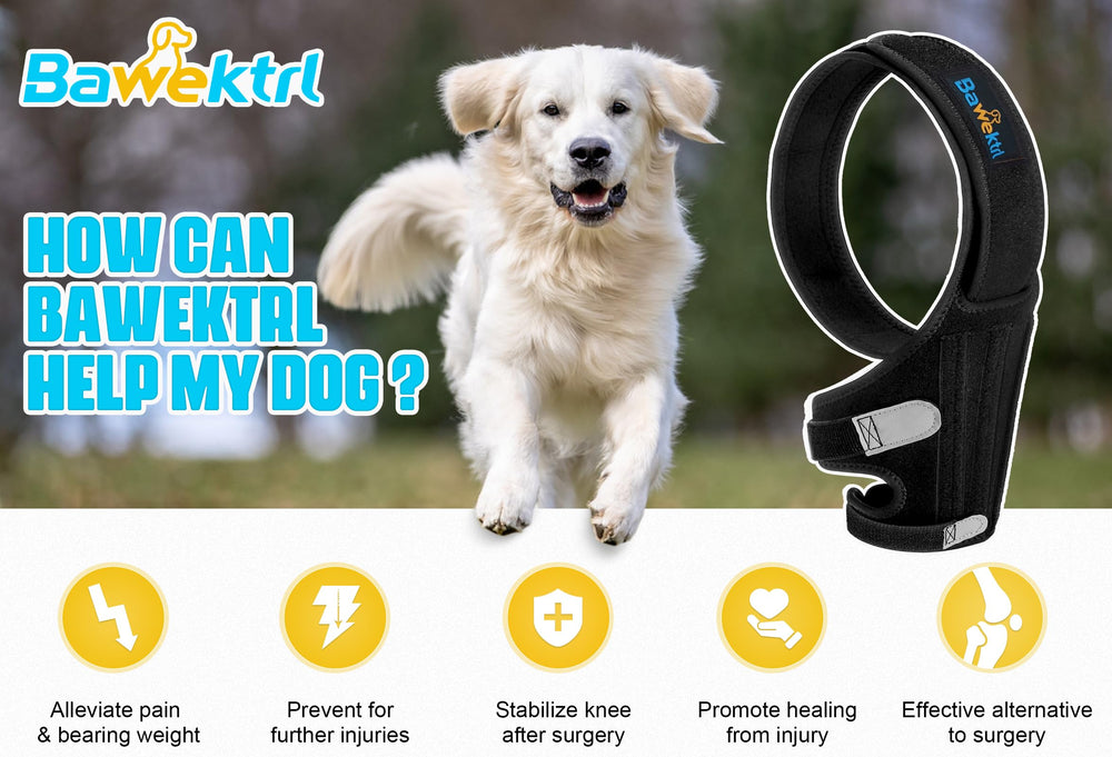 Bawektrl Dog Knee Brace neoprene close up showing durability and breathability