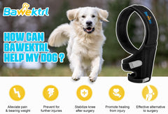 Bawektrl Dog Knee Brace neoprene close up showing durability and breathability