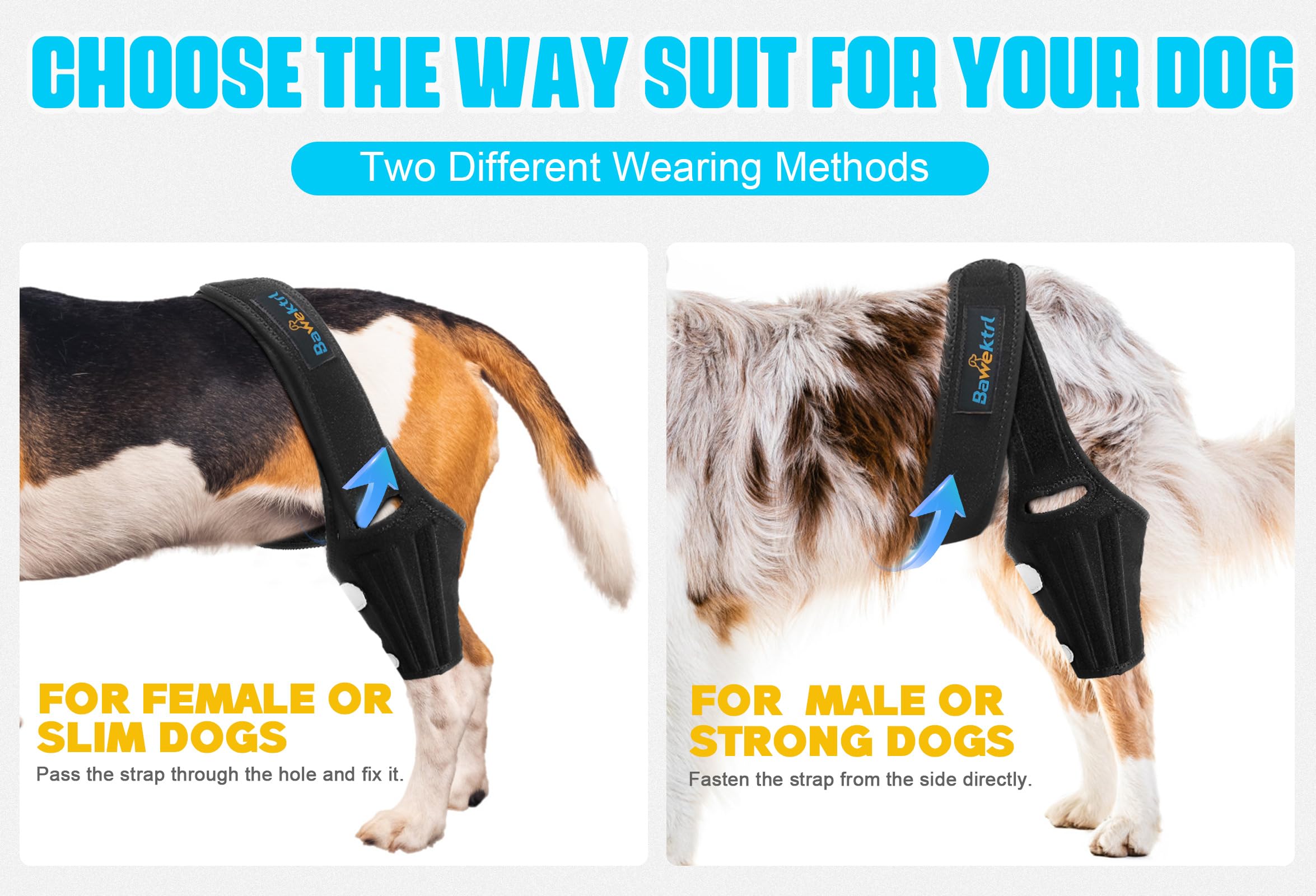 Bawektrl Dog Knee Brace in motion during walk to illustrate support