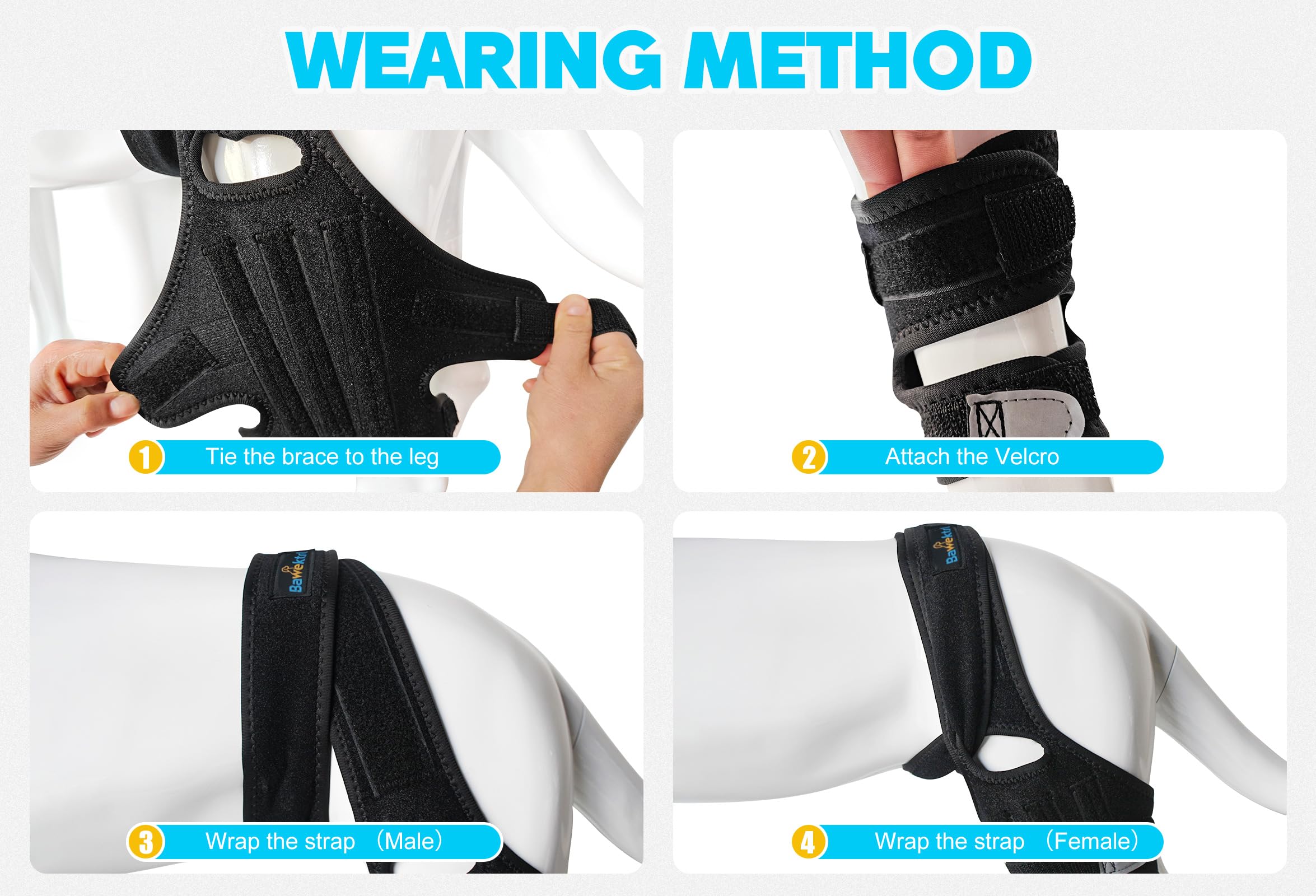 Bawektrl Dog Knee Brace size chart guide for correct fit