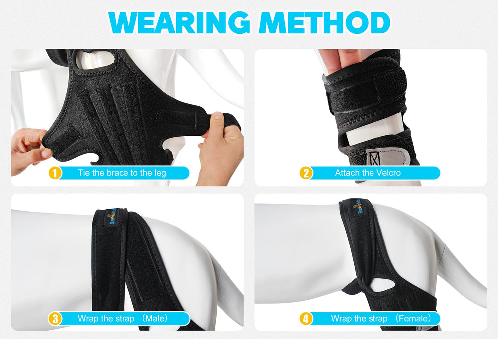 Bawektrl Dog Knee Brace size chart guide for correct fit