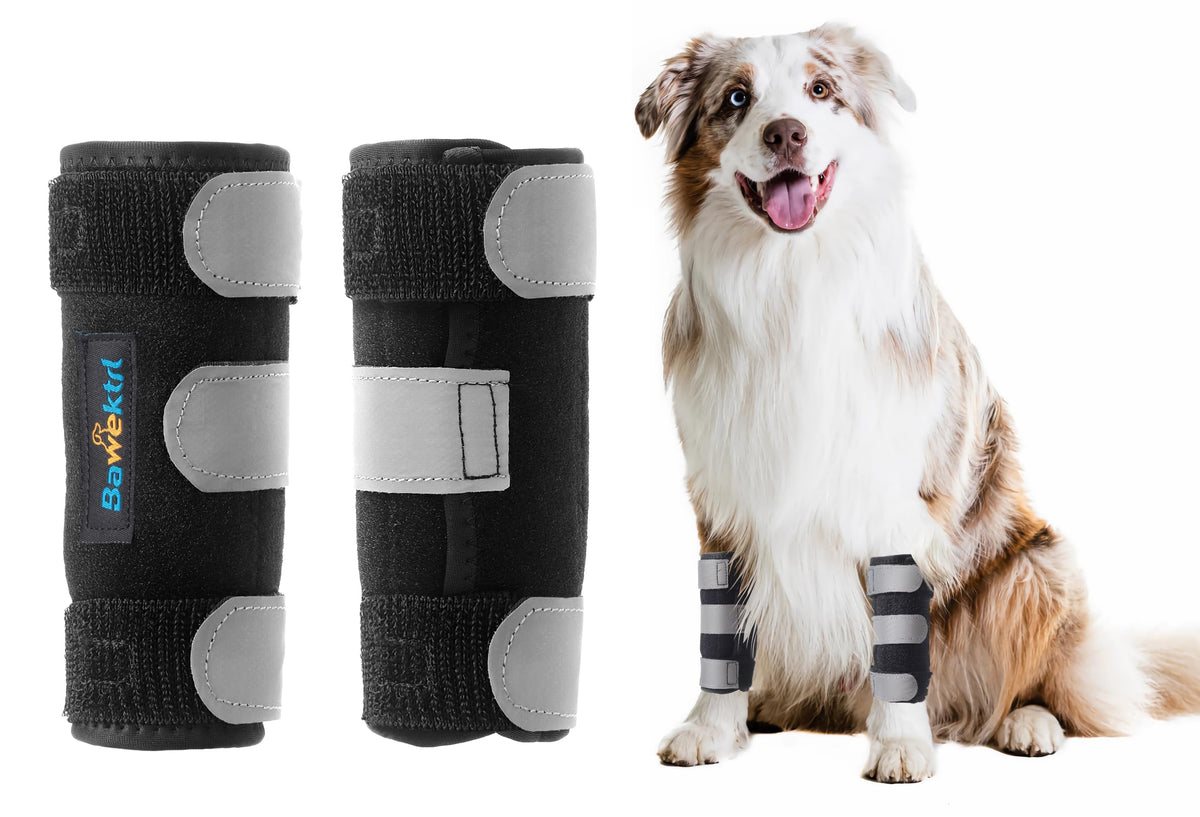 Bawektrl dog wrist brace front leg supports stability during movement