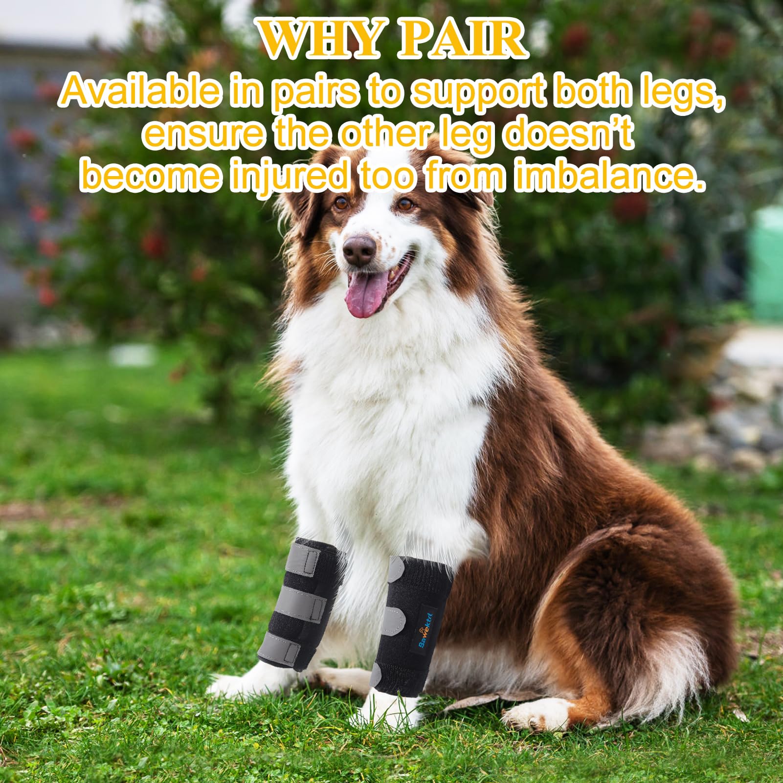Bawektrl dog wrist brace pair pack shown together to treat both legs