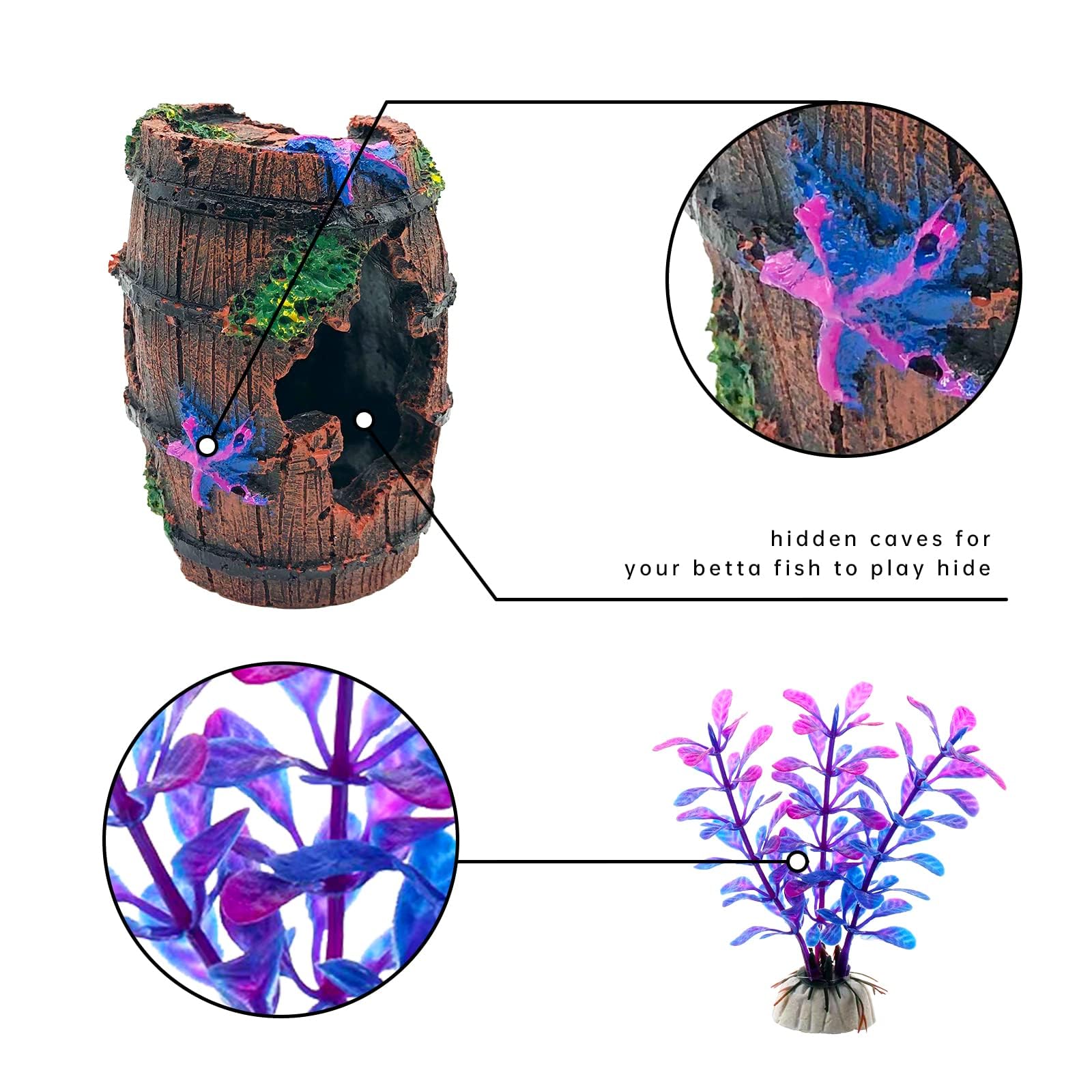 Bazayona Faeshoo aquatic plants arrangement shows balance and depth.