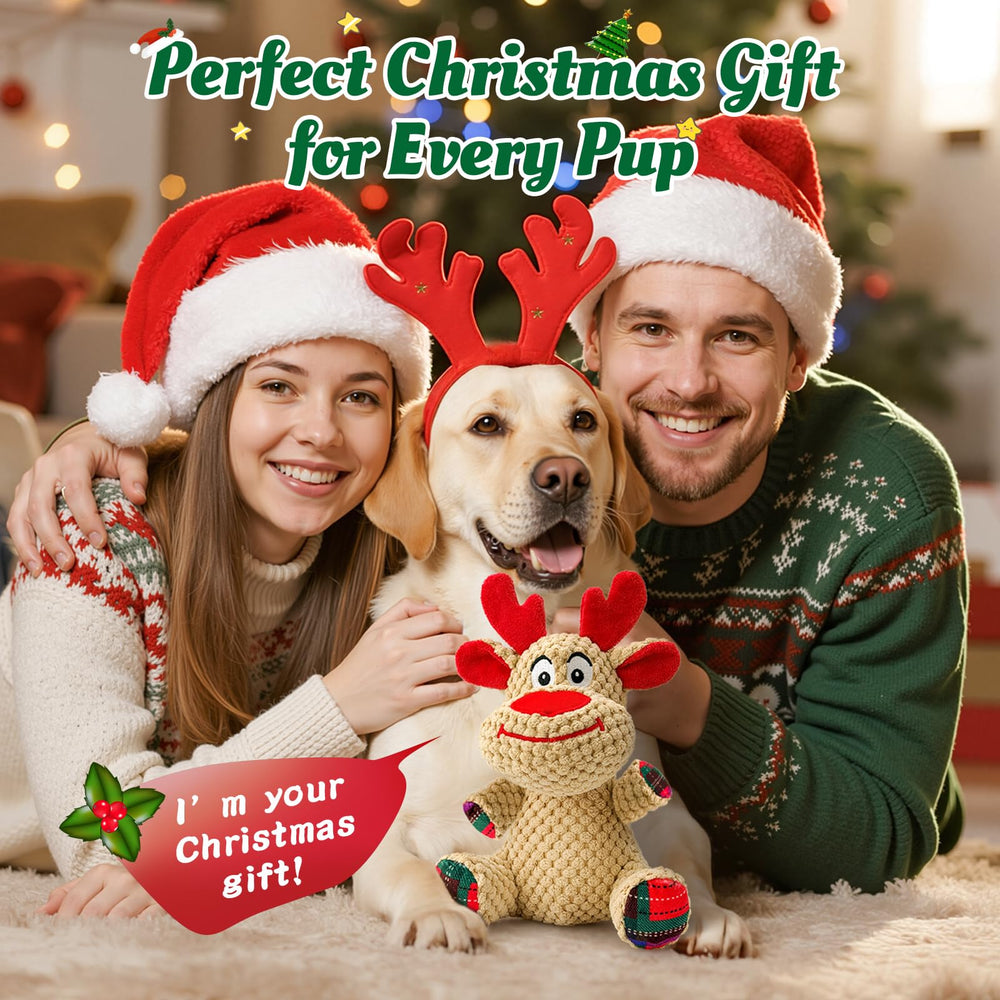 BBeary Christmas dog toy under the tree as a gift idea