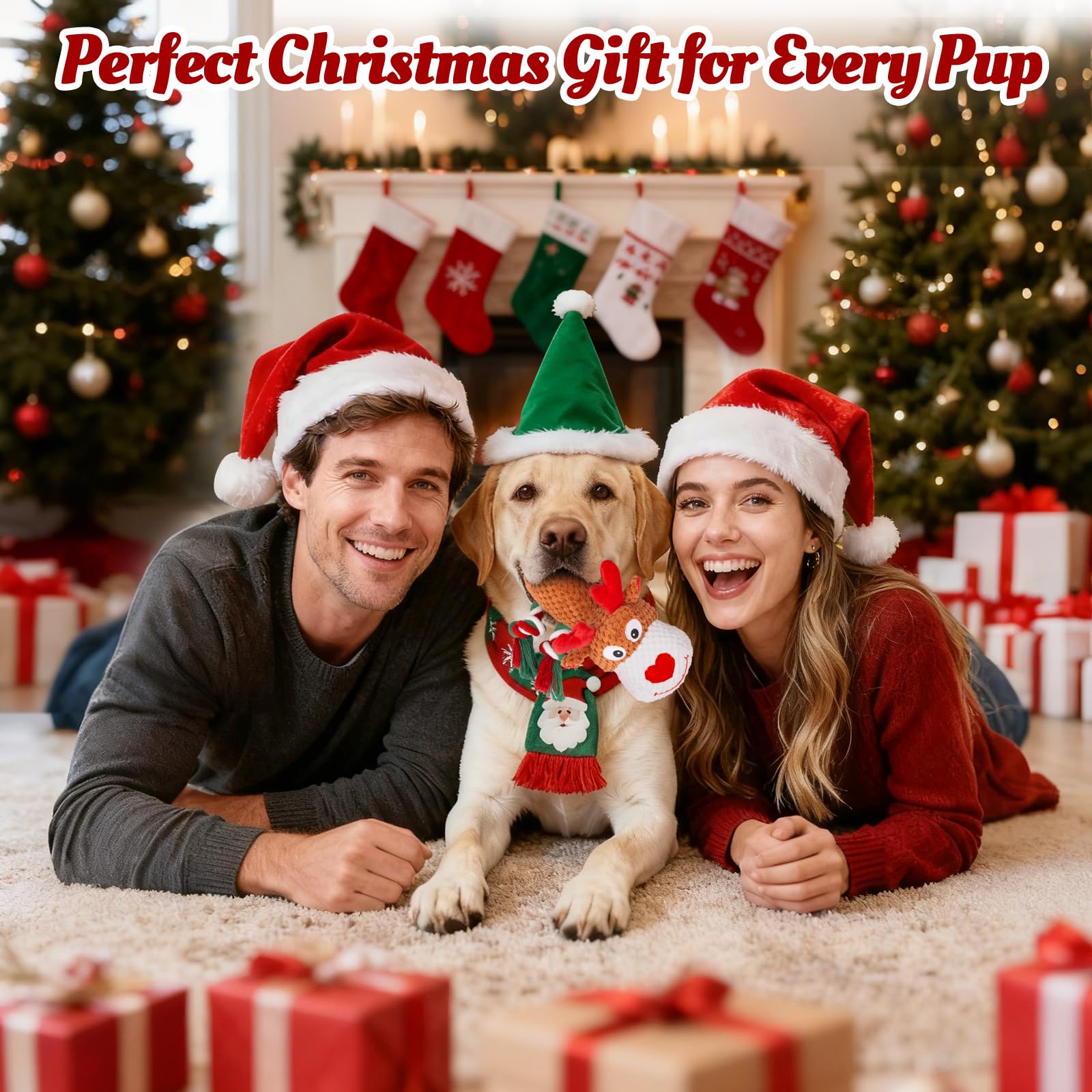 BBeary Christmas dog toy gift-under-tree ready-to-gift holiday surprise.