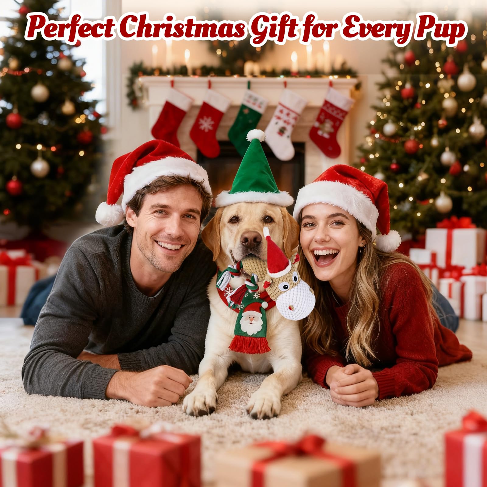 BBeary Christmas Hippo under-tree gift, a festive dog toy for holiday joy.