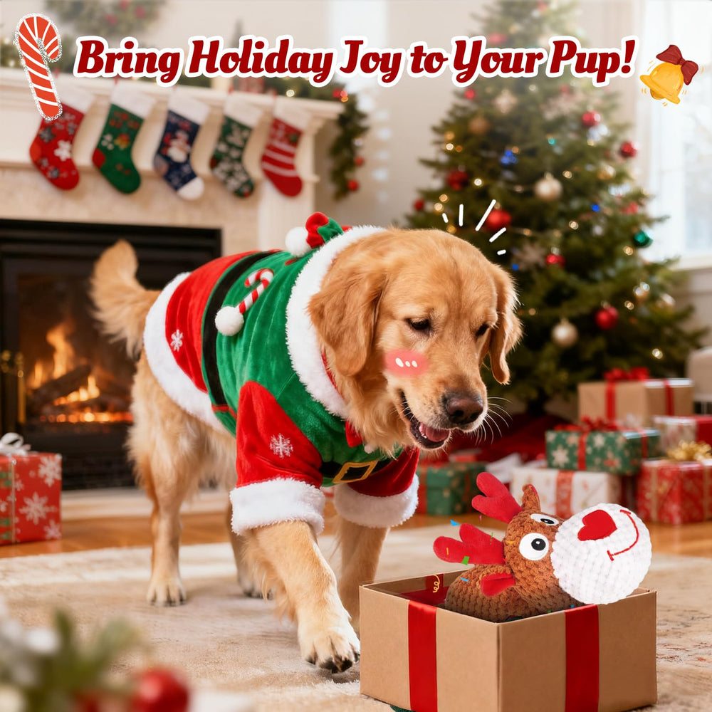 BBeary Christmas dog toy squeaker-belly demonstrates engaging sounds for interactive play.
