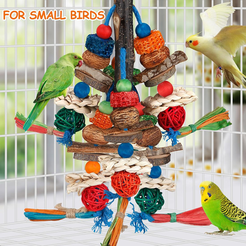 BBjinronjy bird enrichment helps reduce boredom and supports behavior