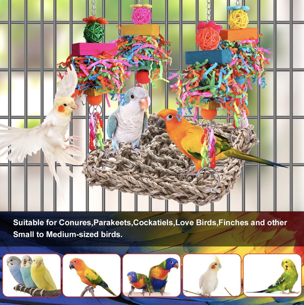 BBjinronjy bird-toy colorful-blocks and beads provide enrichment