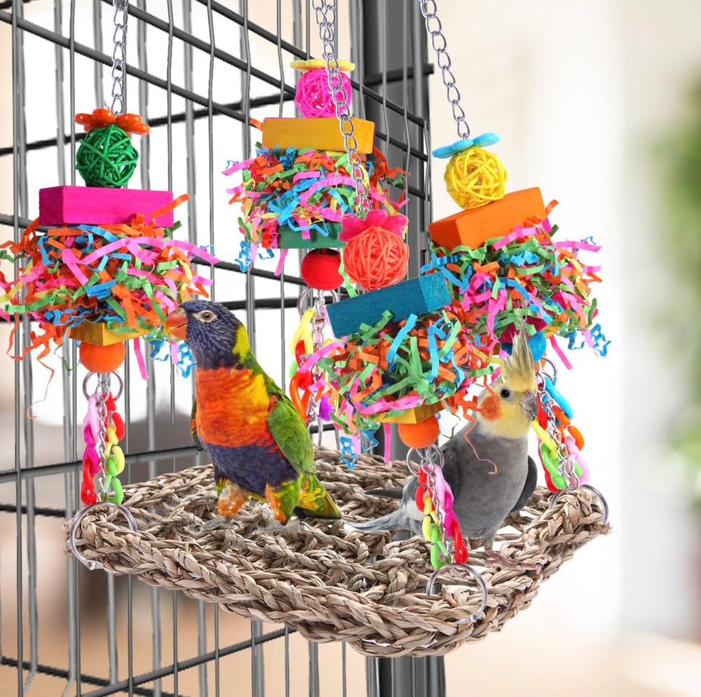 BBjinronjy hammock-playground supports active behaviors like pecking, nibbling, and preening