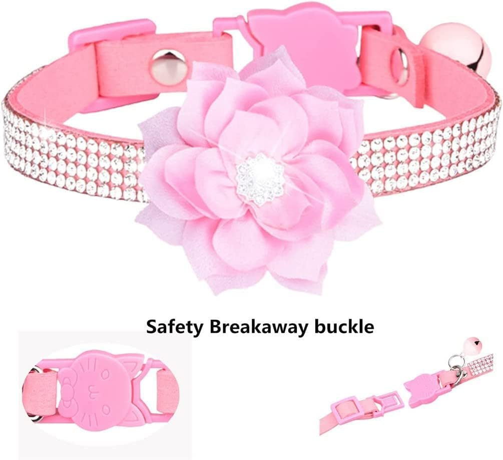 Bbmmayy lightweight collar on a small pet reduces neck burden during play