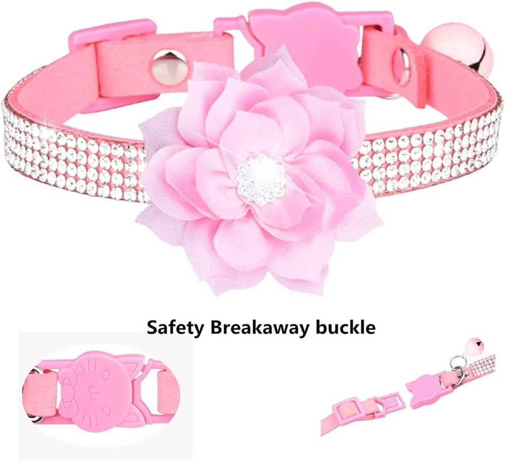 Bbmmayy lightweight collar on a small pet reduces neck burden during play