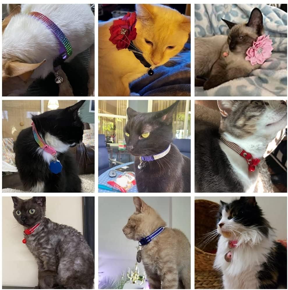 Bbmmayy 26 cm neck length reference shows cat-friendly sizing for daily wear