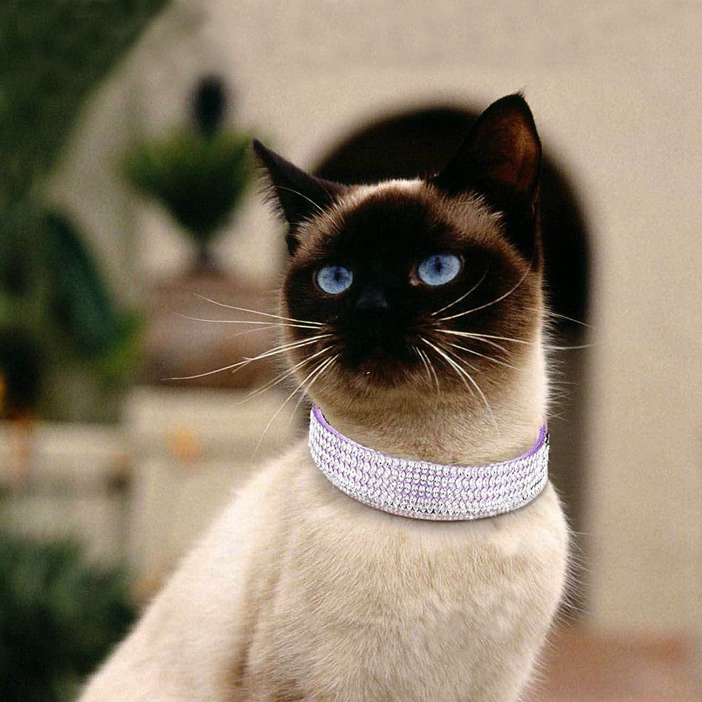 Bbmmayy cat collar size-measure guide image helps get the right fit.
