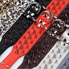 Bbmmayy adjustable buckle close-up showing secure fit on dog collar.