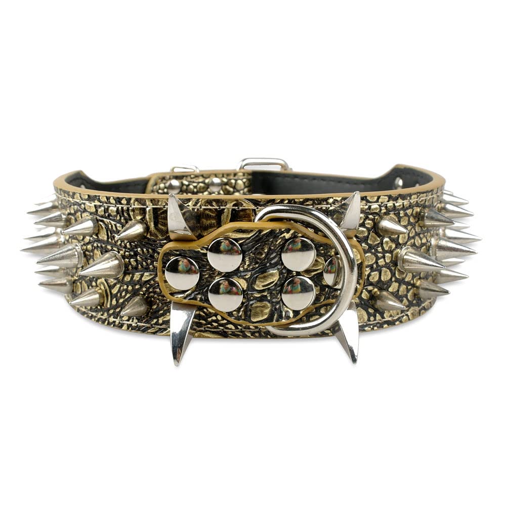 Bbmmayy leather dog collar with spiked design for bold style and protection.