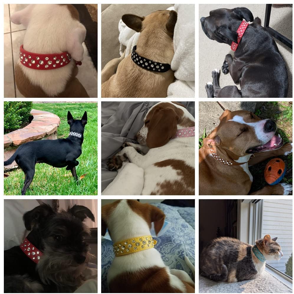 Bbmmayy buckle and five-hole adjustment for secure fit during walks