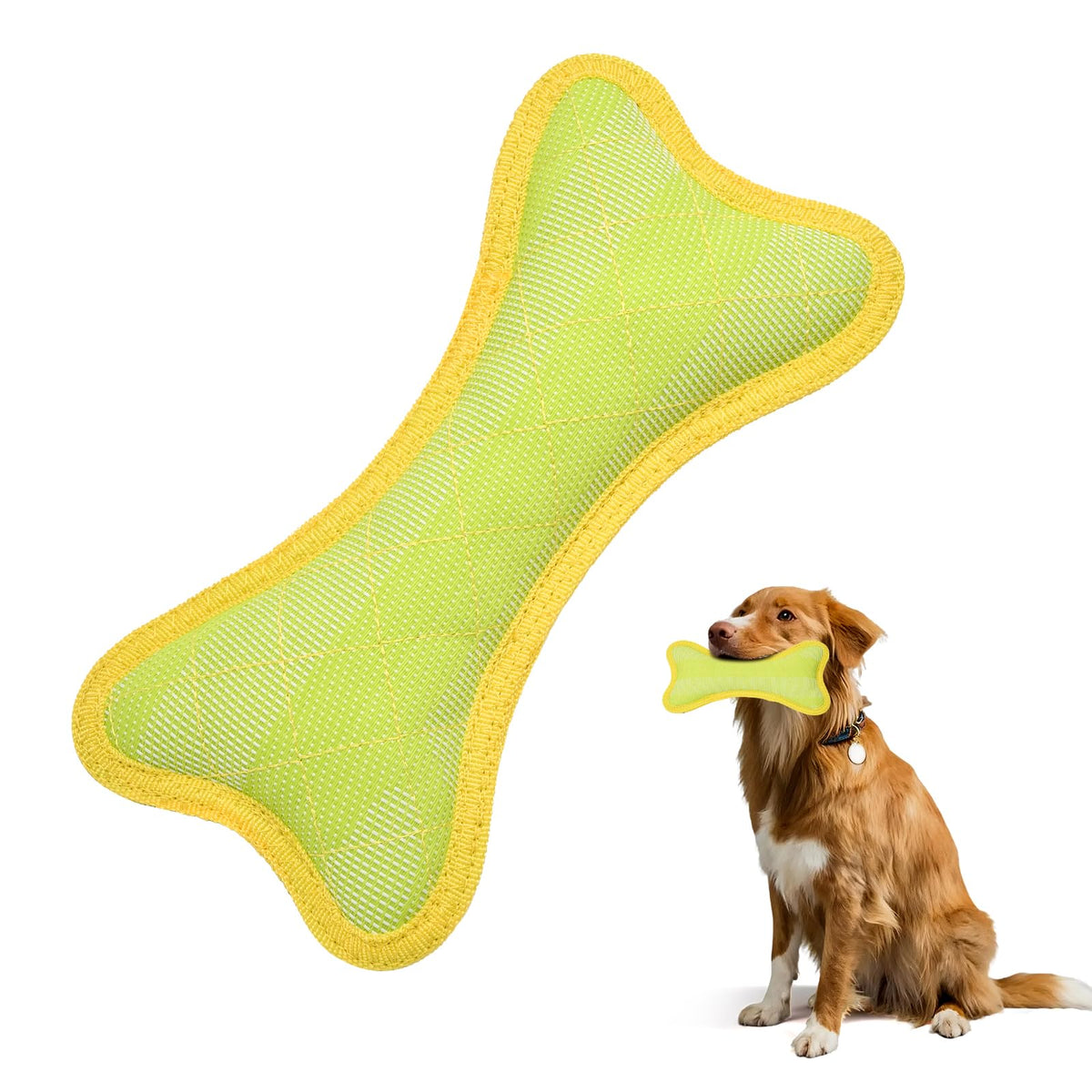 BBOM Bone Dog Toy closeup showing durable armor built for power chewers