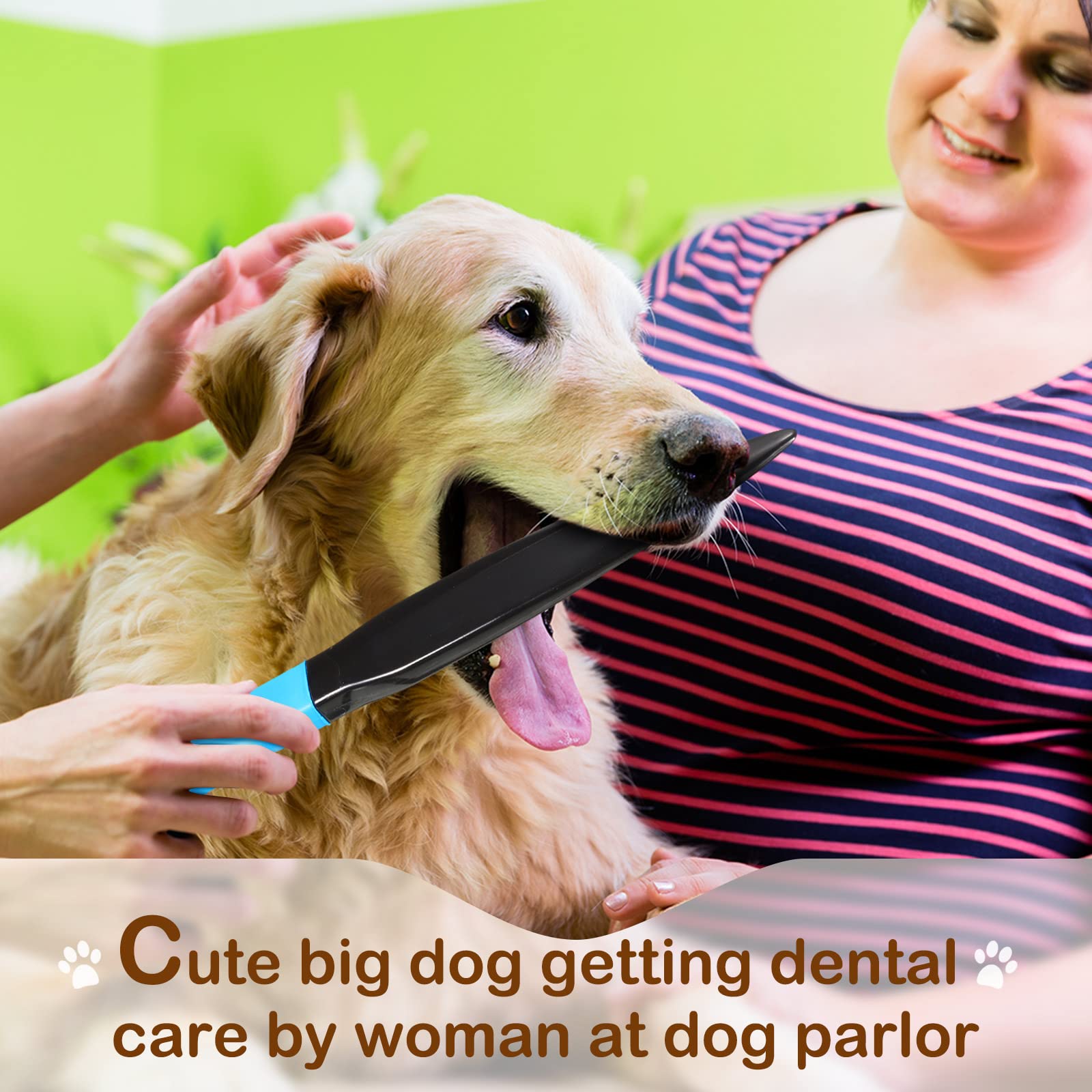 BBTO nylon material break-stick emphasizes durability and flexible chew handling.