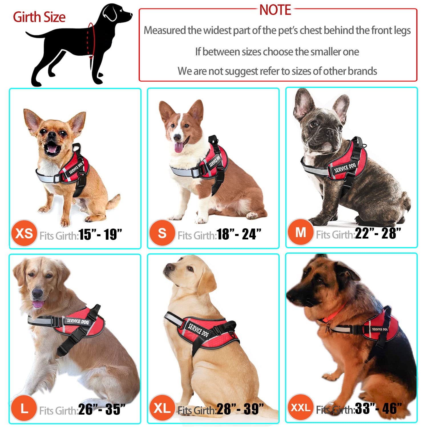 Bcadem service dog vest includes a 5 ft leash with padded handle for comfort