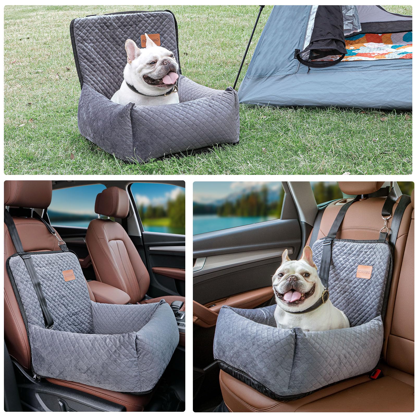 BCOCHAO safety belt attachment to harness provides on-road security
