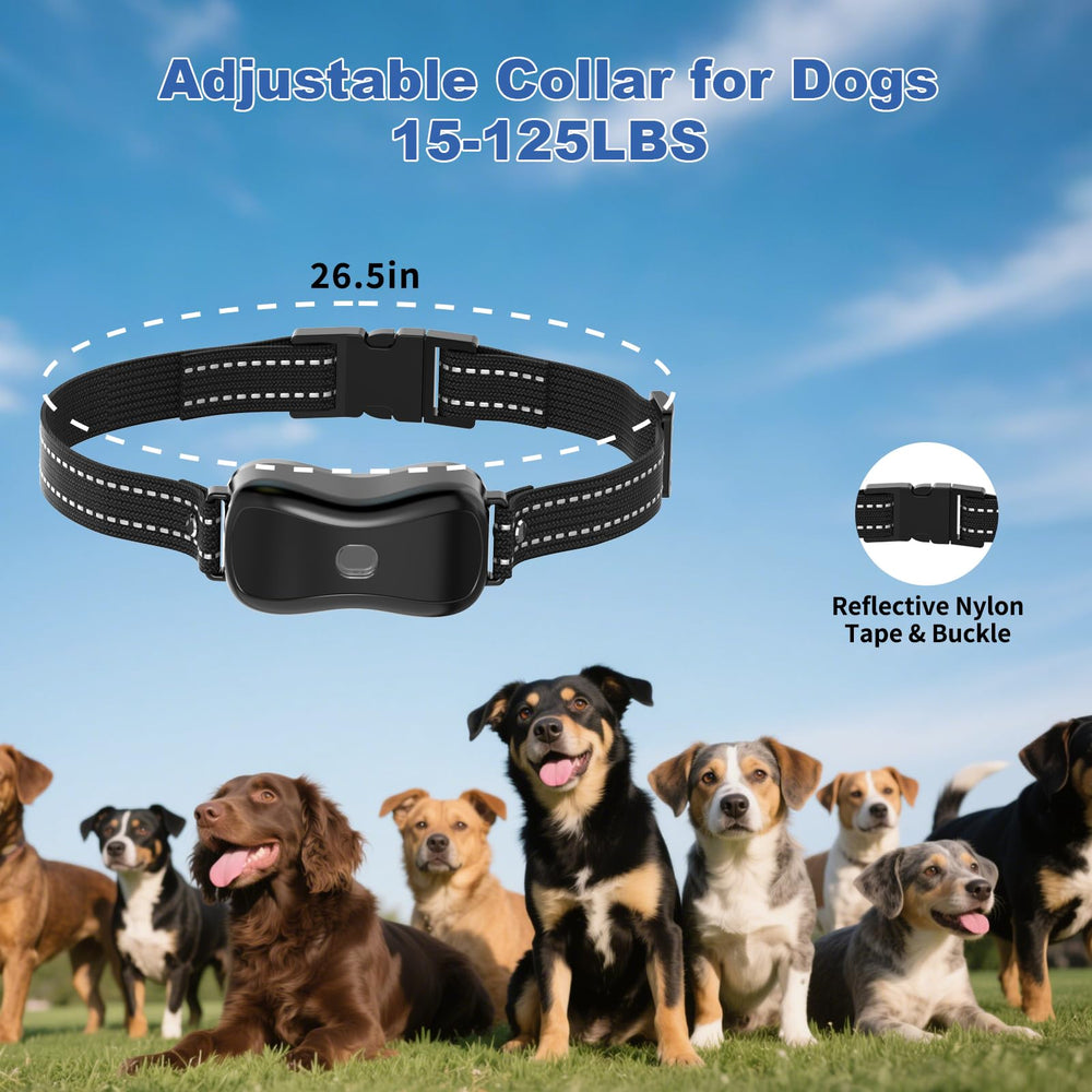 BCPETMY long-life remote battery supports multi-day training with minimal downtime.