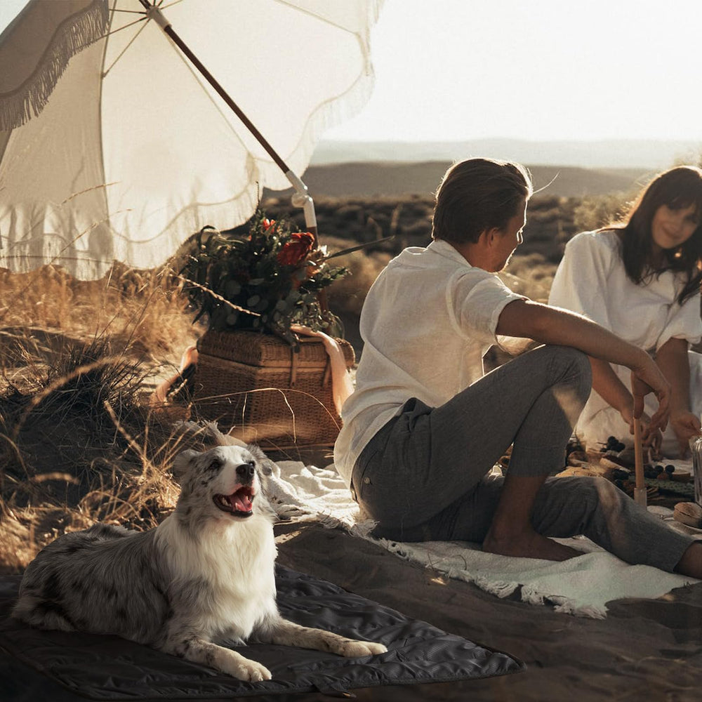 BDEUS breathable padded pet mat ready for outdoor use and naps.