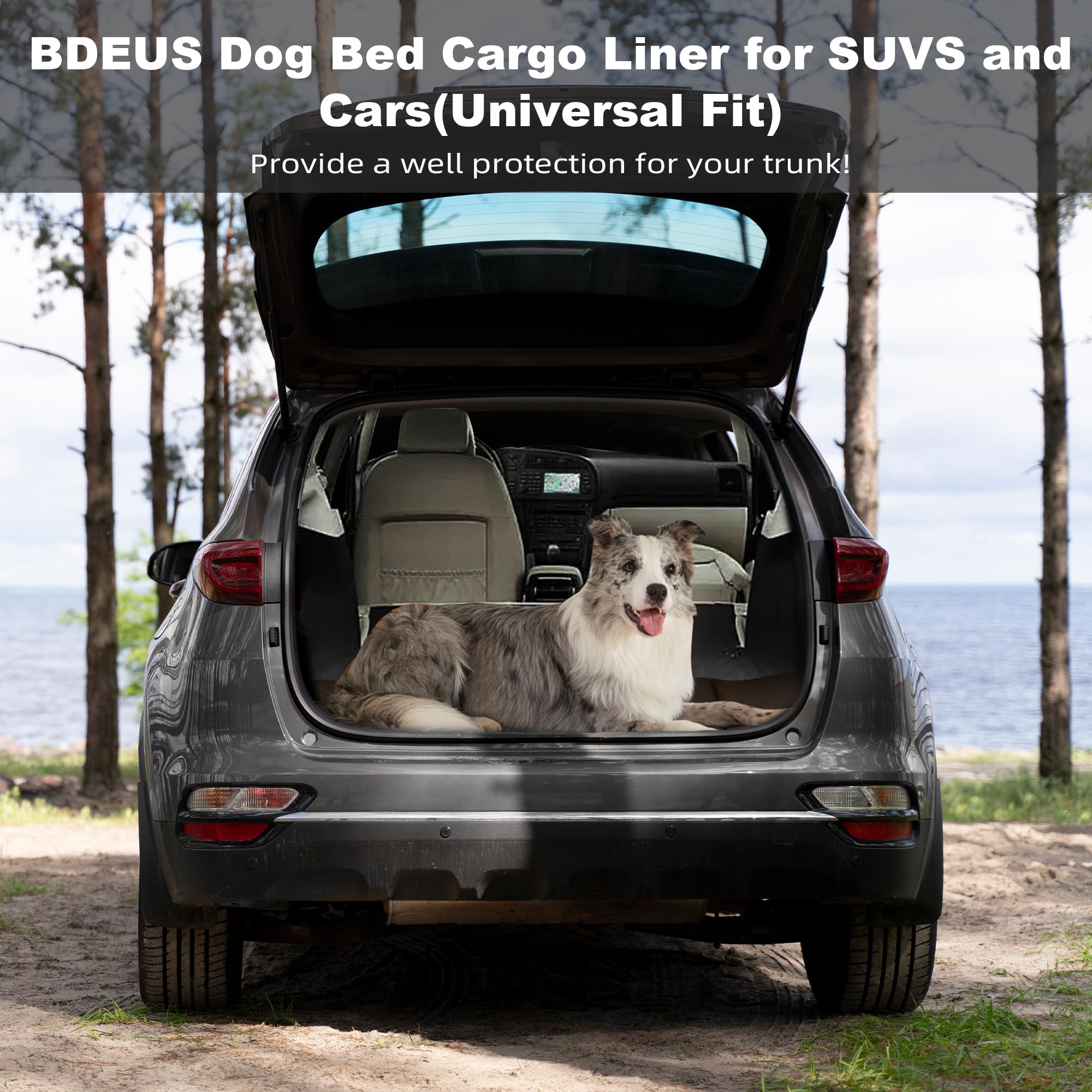 BDEUS odor-resistant pet pad stays cleaner during lounging.