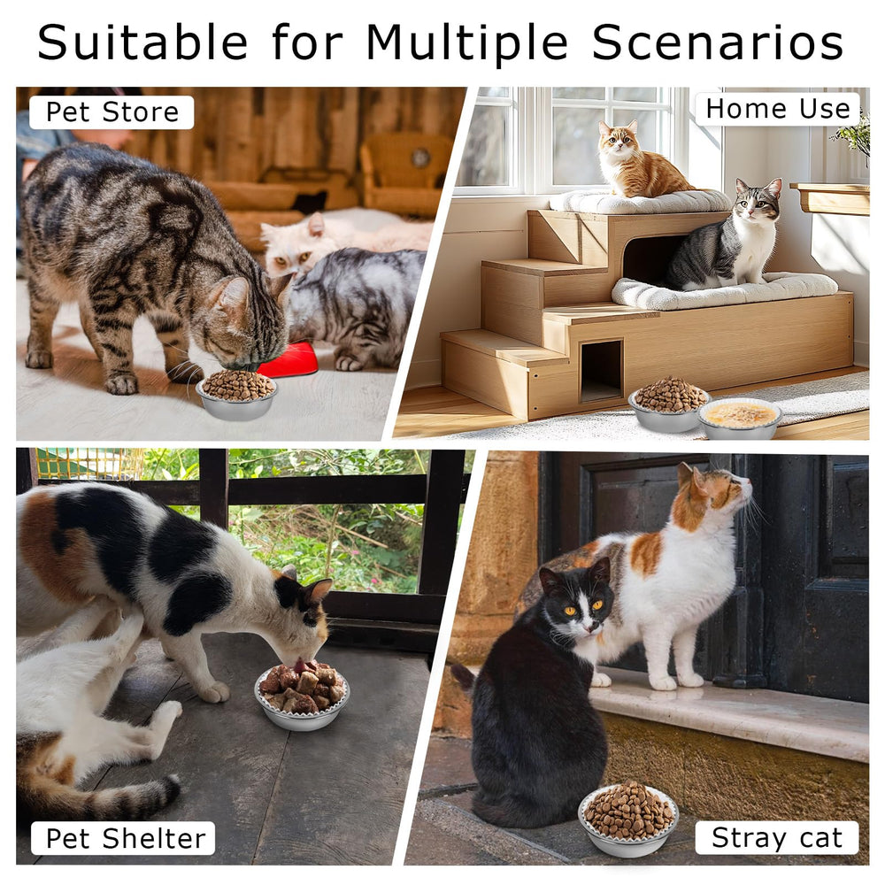 BeaAiwa feeding station setup with bowls—organized meals and easy maintenance.