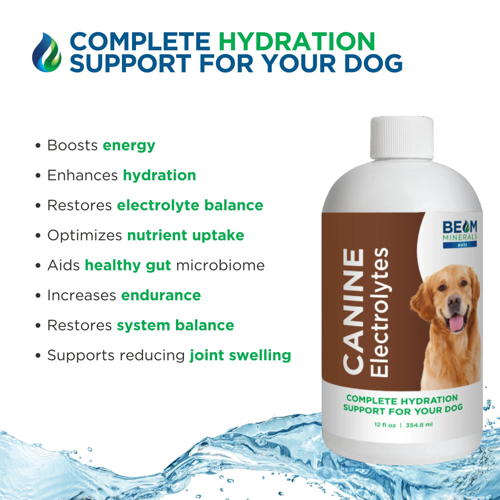 Beam Minerals Complete Canine Electrolytes support digestive health through gut-friendly minerals.