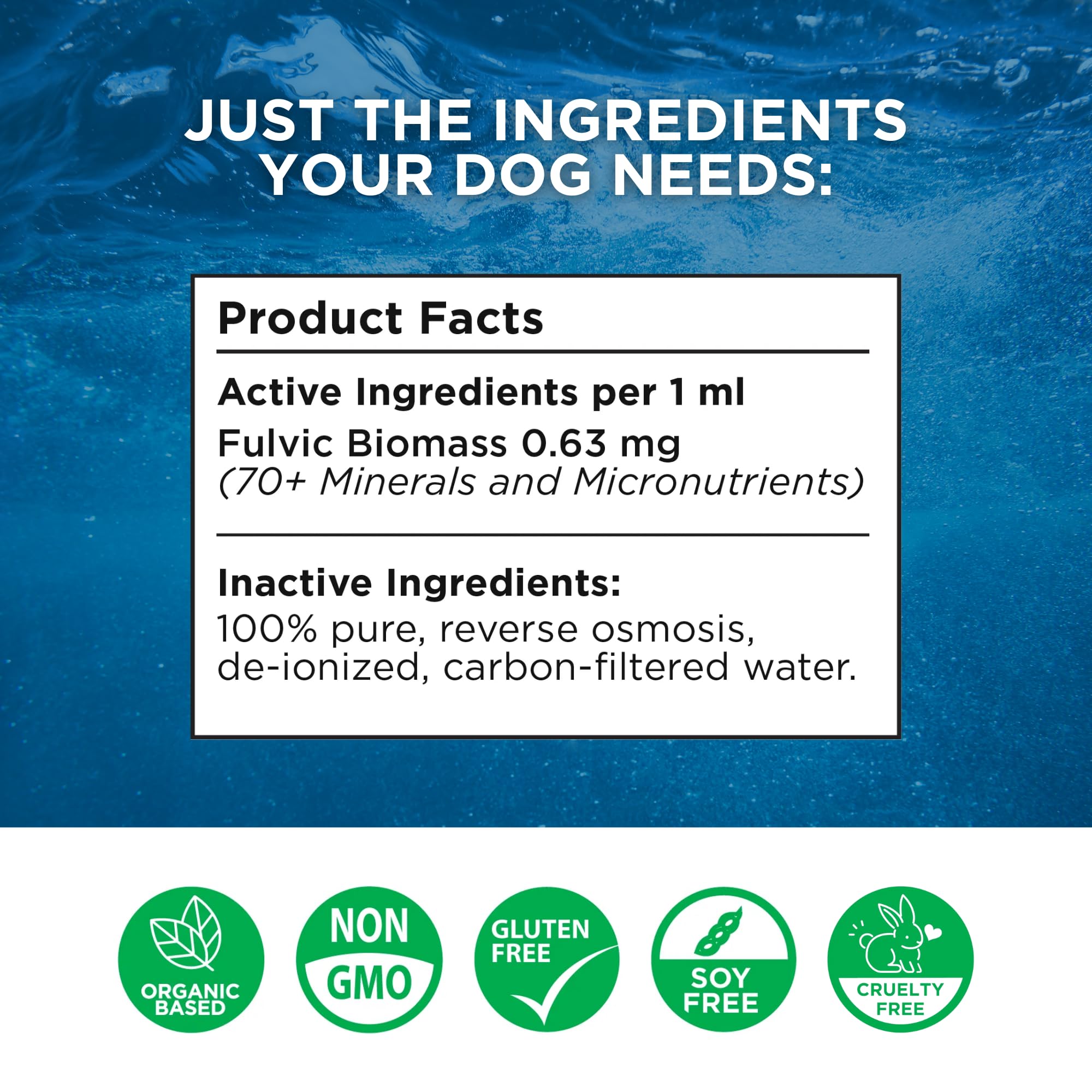 Beam Minerals Complete Canine Electrolytes pouring into dog's water bowl supports hydration during activities.