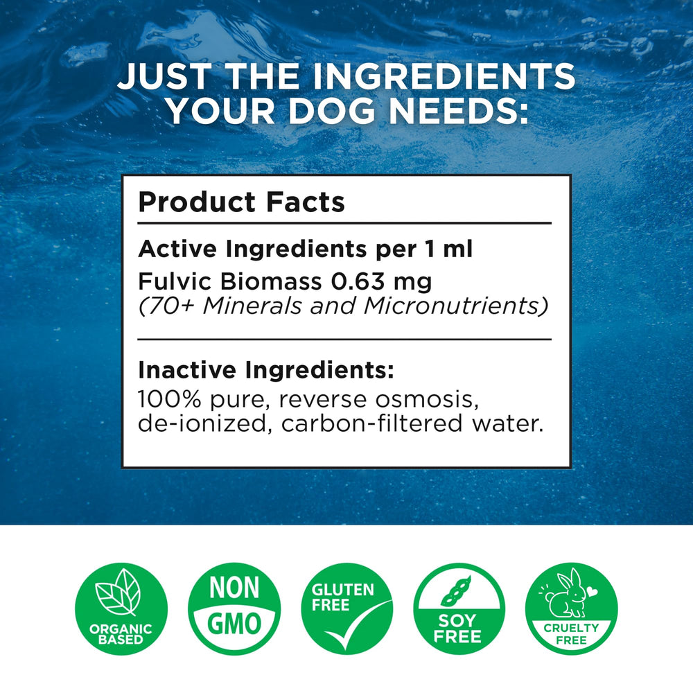 Beam Minerals Complete Canine Electrolytes pouring into dog's water bowl supports hydration during activities.