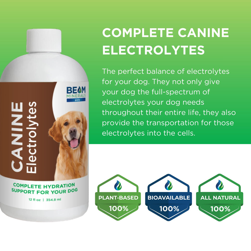 Beam Minerals Complete Canine Electrolytes label highlights fulvic and humic acids.