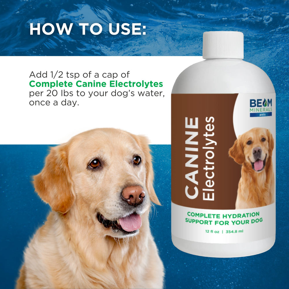 Beam Minerals Complete Canine Electrolytes formula may aid recovery during illness or injury.